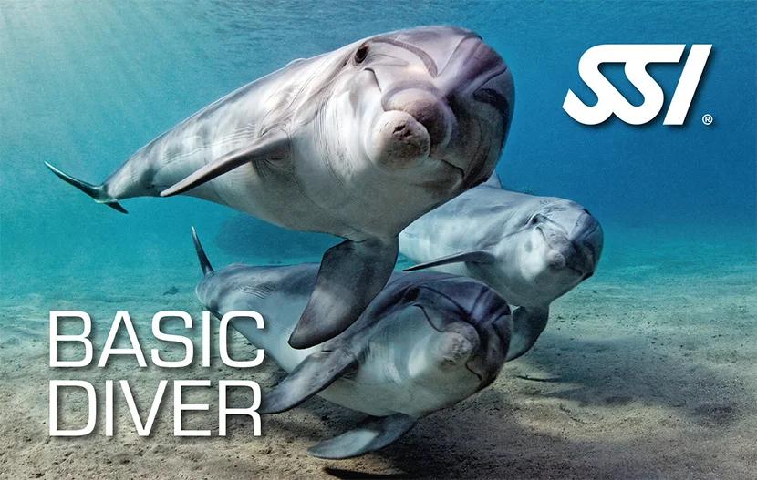 basic-diver-ssi-azzurro-azores