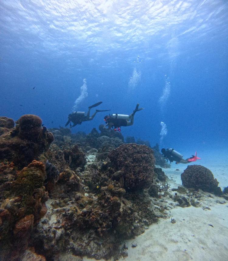 basic-diver-boat-medusas-dive