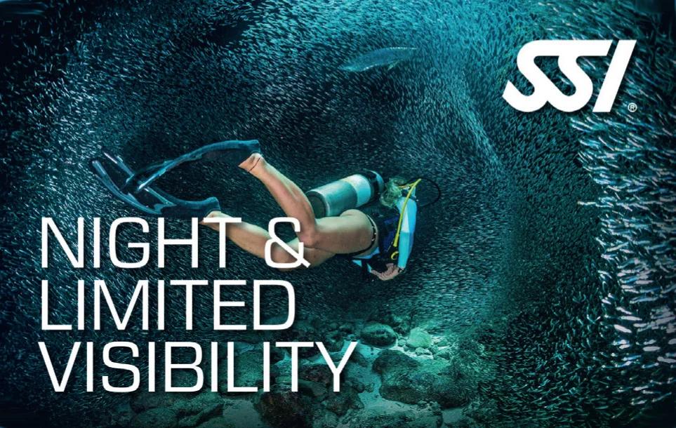 night-dive-specialty-azzurro-azores