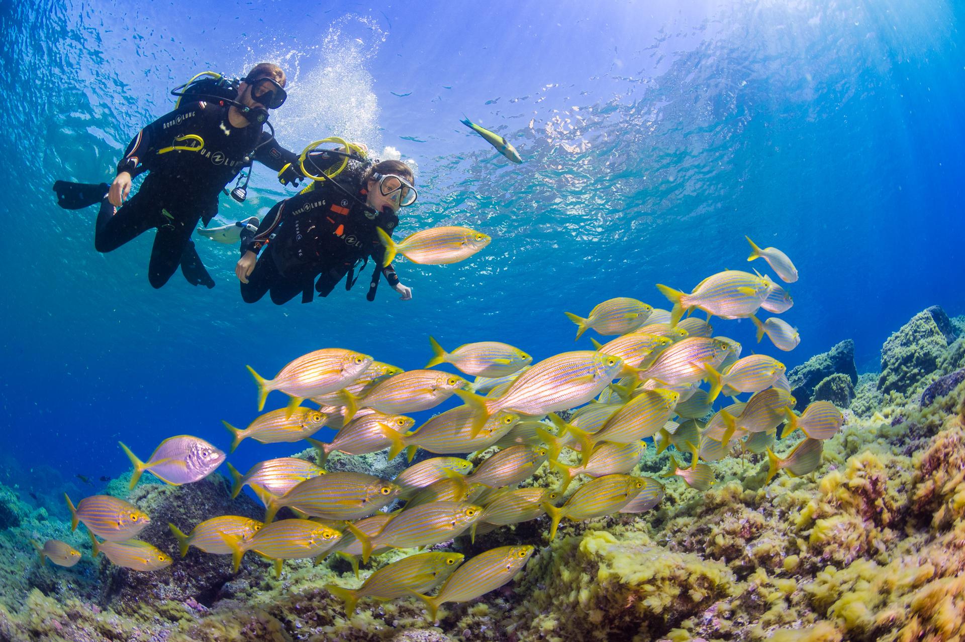 advanced-open-water-diver-course-in-madrid-tenerife
