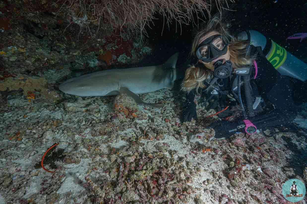 night-dive-specialty-la-escafandra