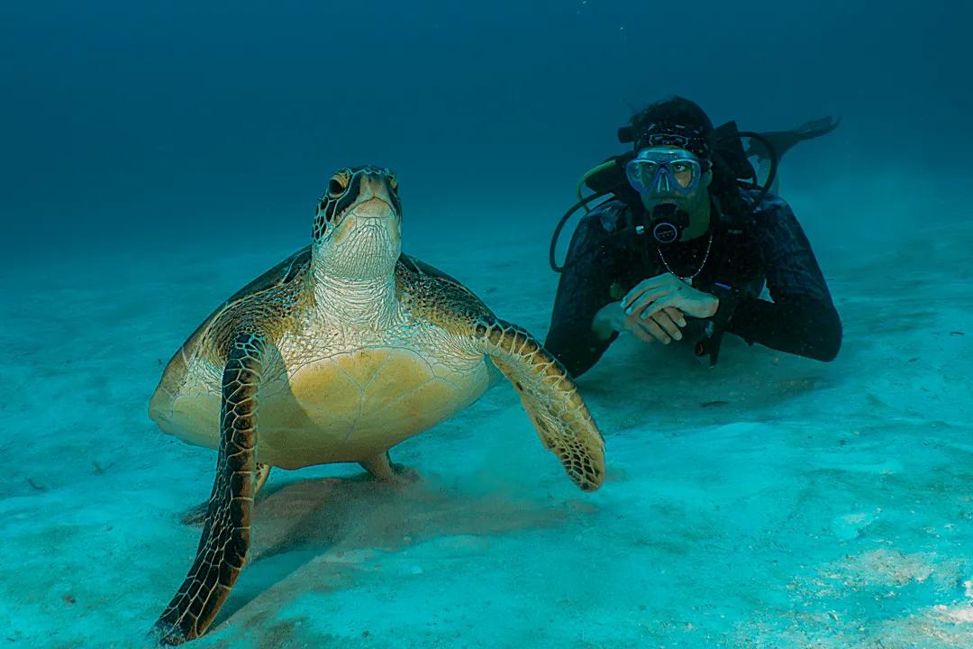 dharavandhoo-week-dive-experience