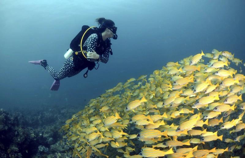 reactivate-padi-course-oceanos-lloret-de-mar