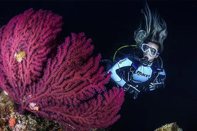night-dive-specialty-subfari-portinatx-ibiza