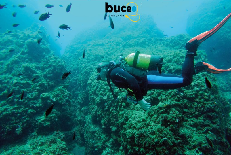 fun-dive-a-boat-at-buceo-calahonda