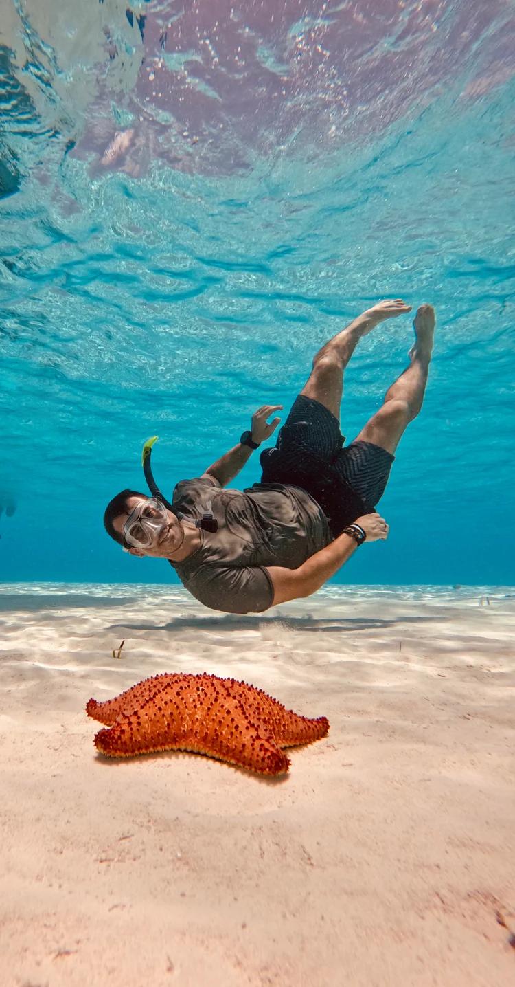 basic-diver-shore-tour-el-cielo-medusas-dive