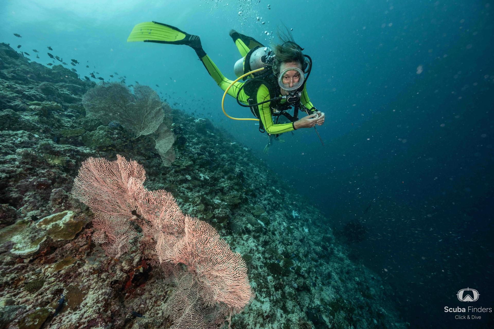 pack-6-boat-dives-tenerife-scuba-finders