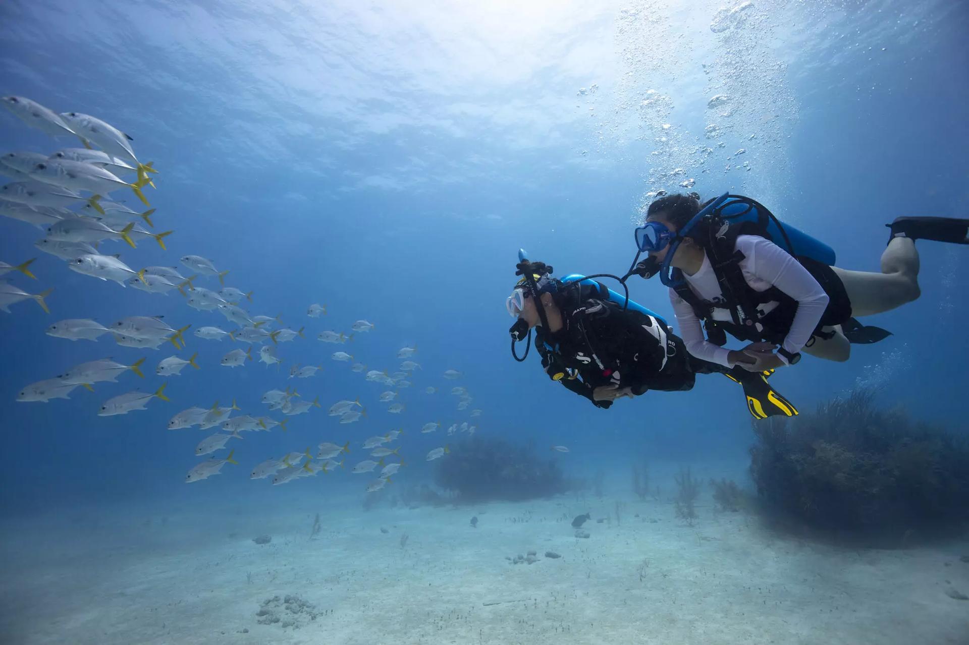 pack-3-dias-6-inmersiones-dive-spot-tenerife-scuba-finders