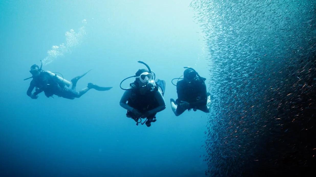 deep-diver-specialty-course-scuba-elx-elche