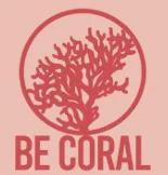 be-coral-be-diving-mexico