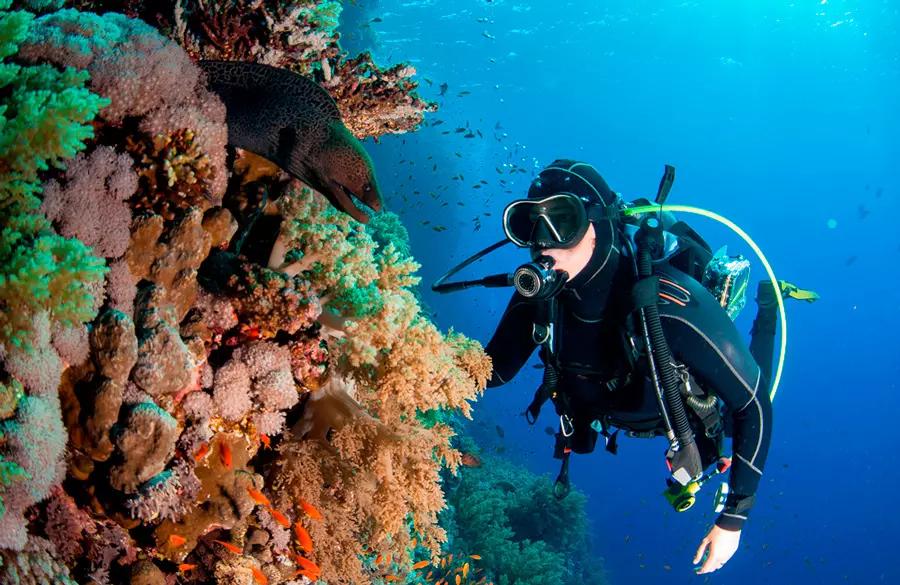 open-water-diver-course-cenotes-waternauts