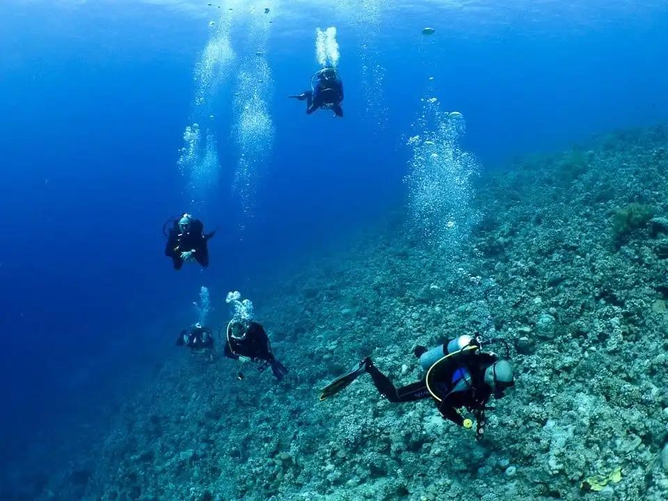 Activity