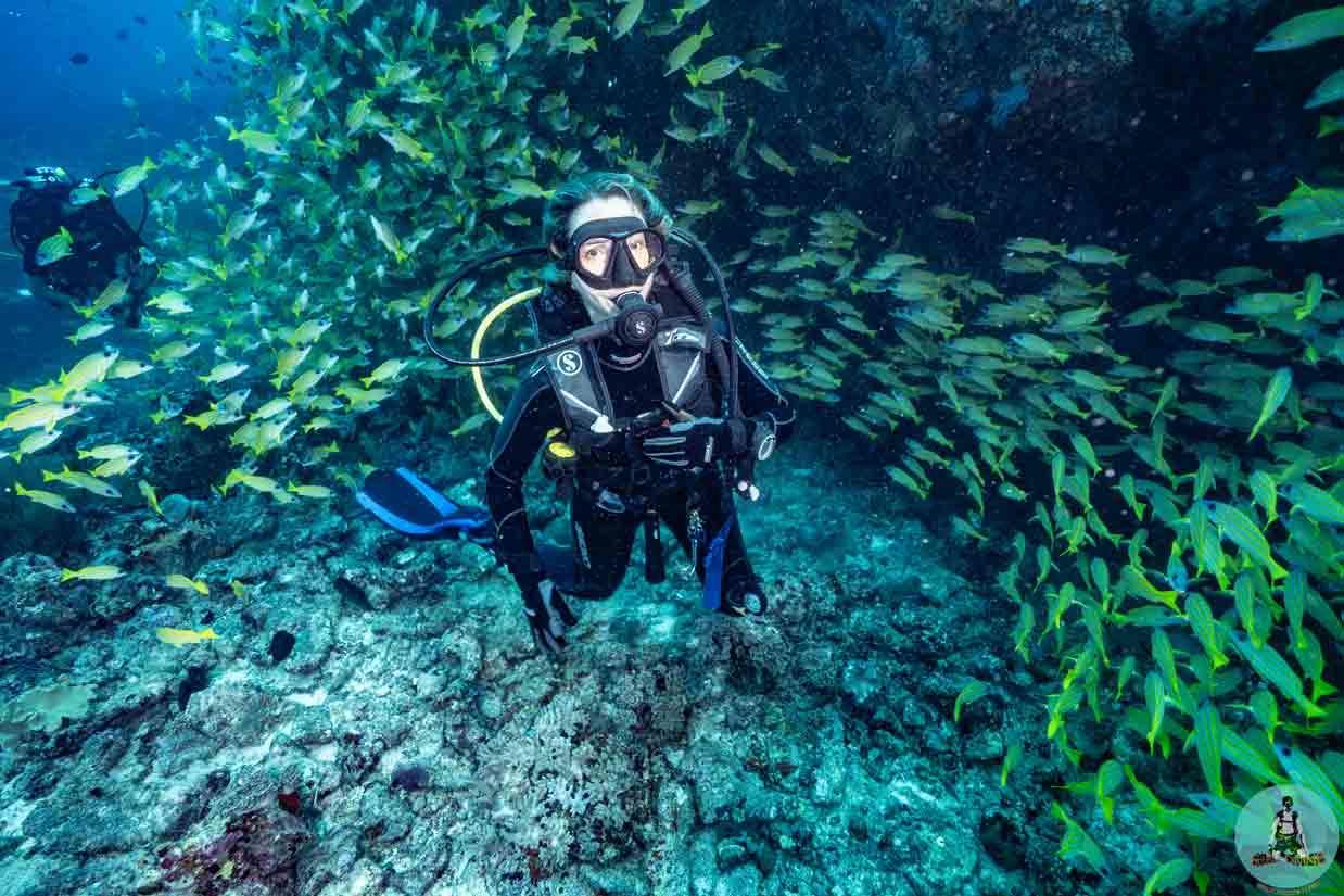 open-water-diver-course-tortuga-diving-santa-marta-colombia