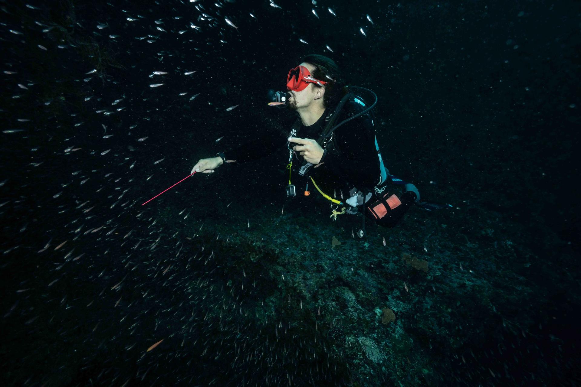 triple-fun-dive-cozumel