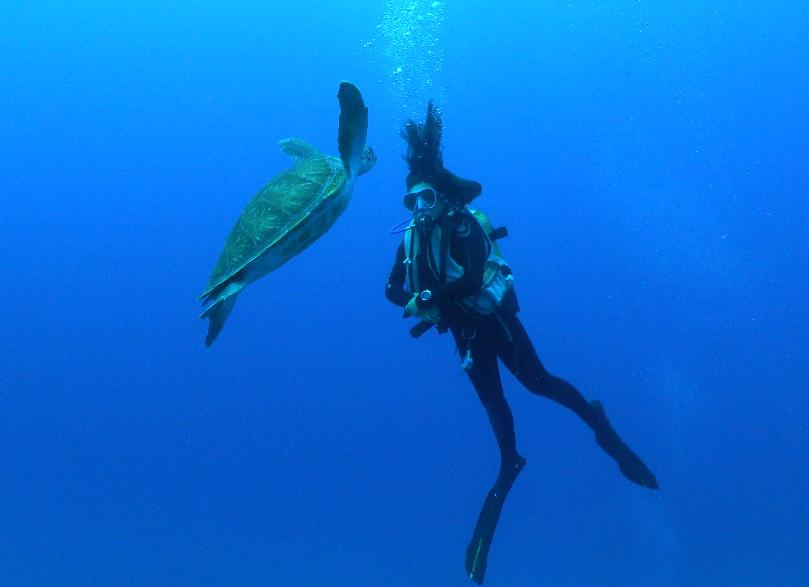 fun-dive-at-deep-fin-tenerife-las-galletas