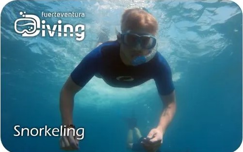 snorkeling-in-fuenteventura-diving