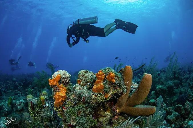 mini-curso-de-buceo-banda-dive-scuba-finders-isla-de-san-andres-colombia-scuba-finders