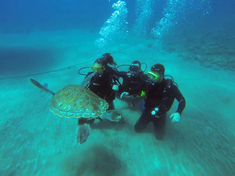 fun-dive-haliotis-madeira-equipment-included