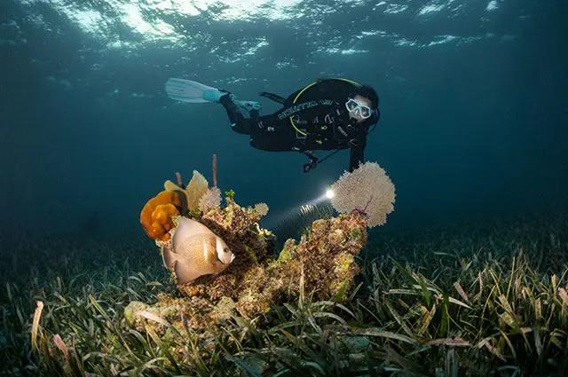 advanced-adventurer-course-subfari-portinatx-ibiza