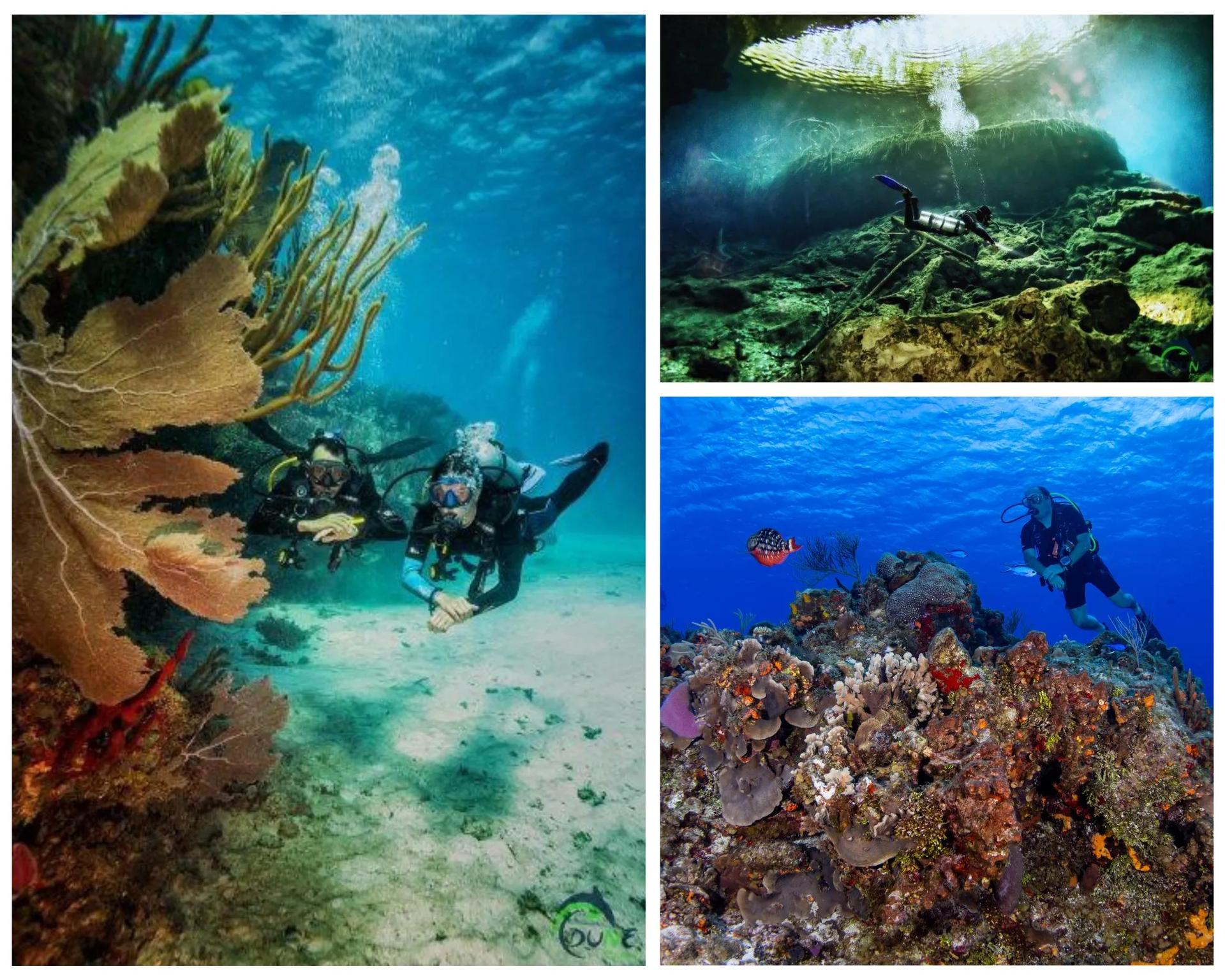 Scuba Diving 5 days with Dune Playa del Carmen | Scuba Finders