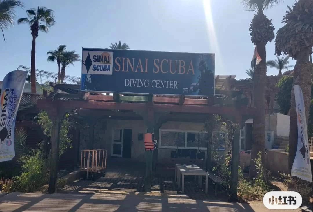 sinai-scuba-far-garden