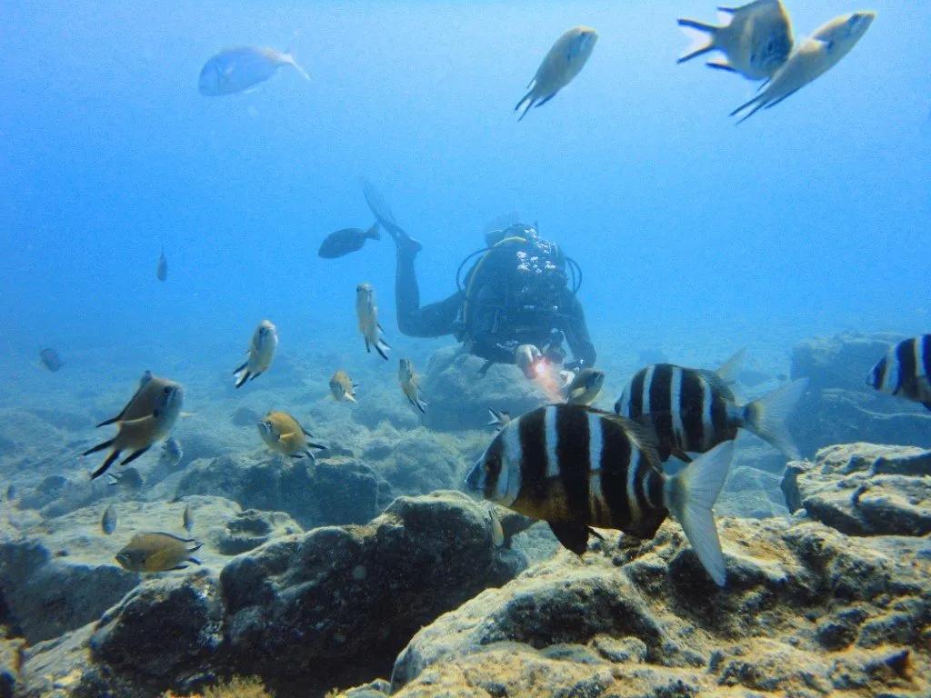 fun-dive-with-equipment-fuerteventura-diving