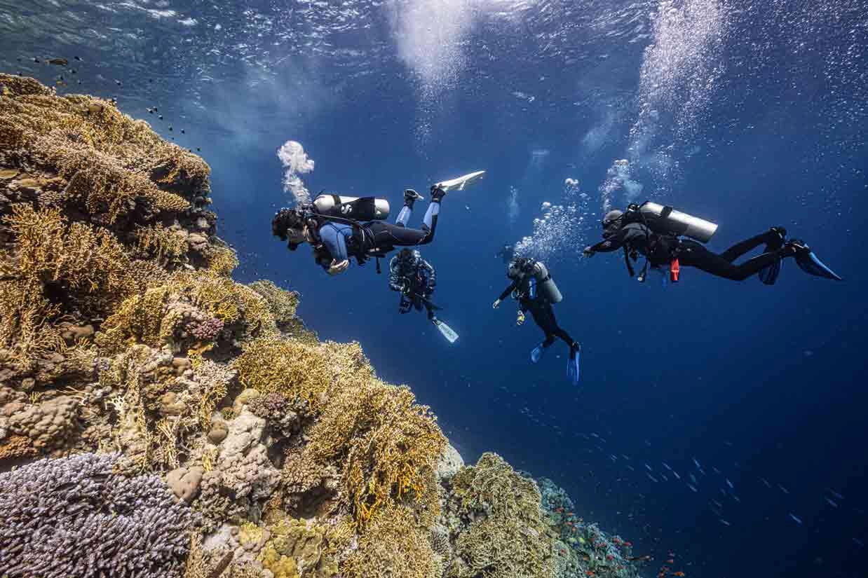 Rescue-diver-course-scuba-alux