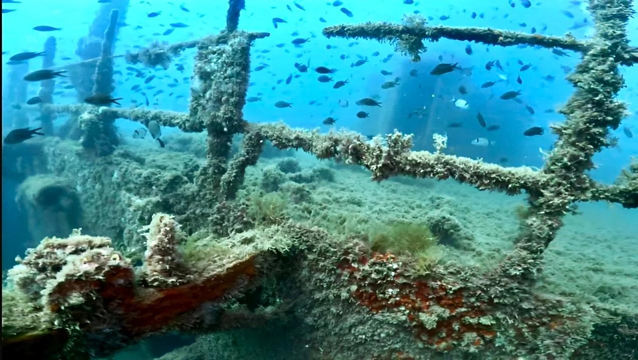 wreck-diver-specialty-course-all-blue-diving-cambrils