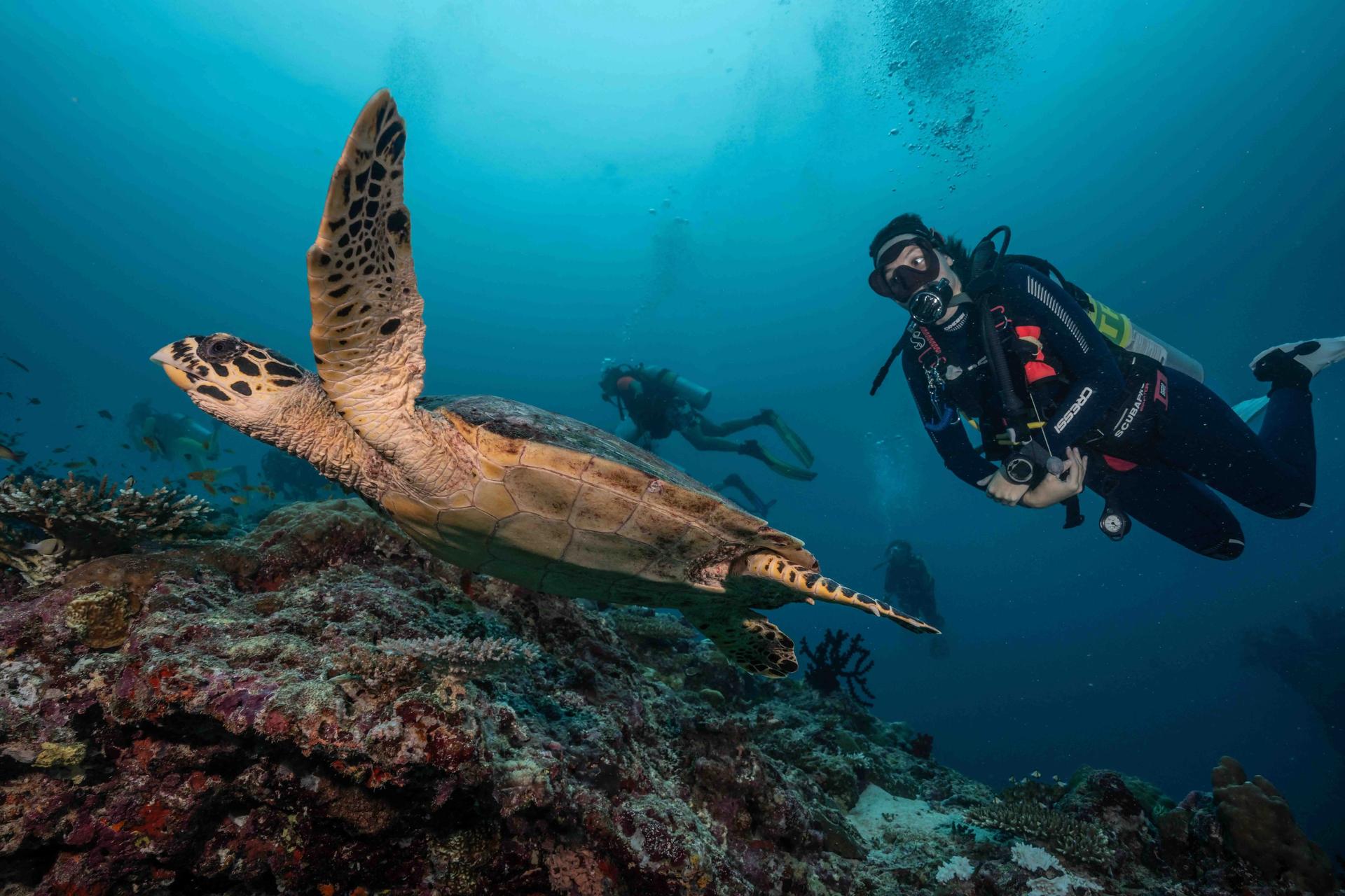 double-dive-at-peñon-equipment-included-casa-chihuahua