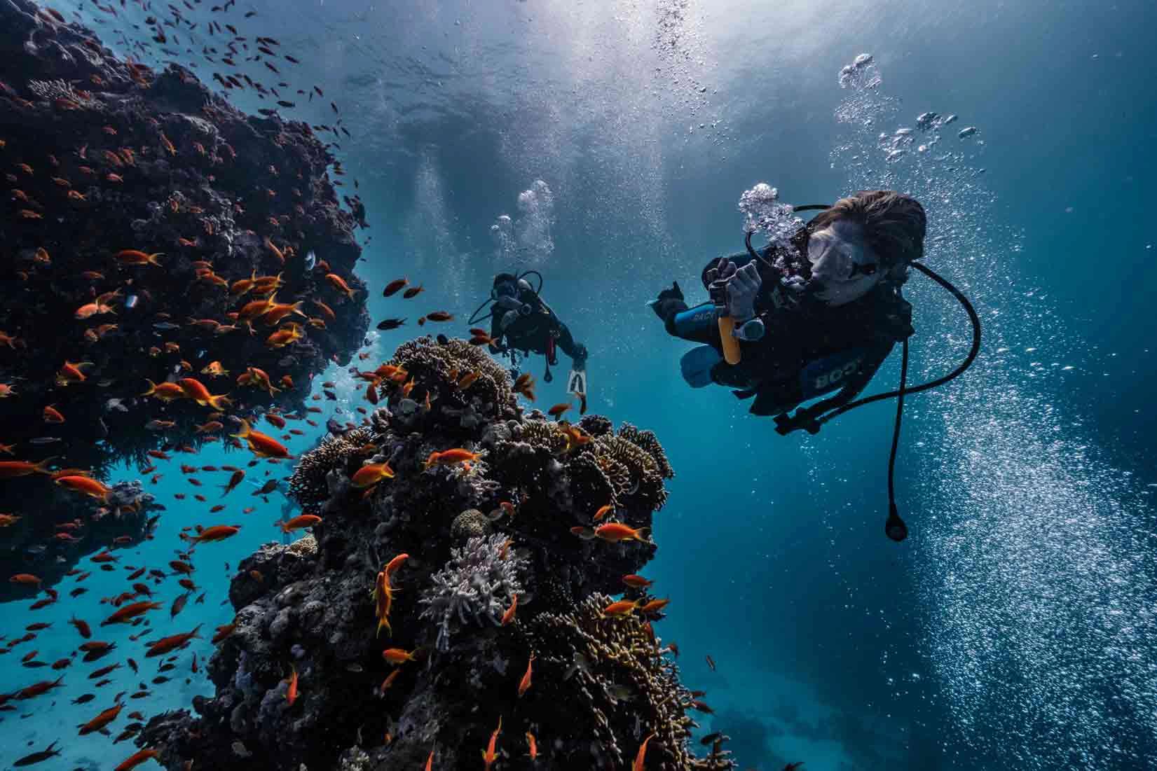 deep-diver-specialty-course-the-blue-jump-la-azohia