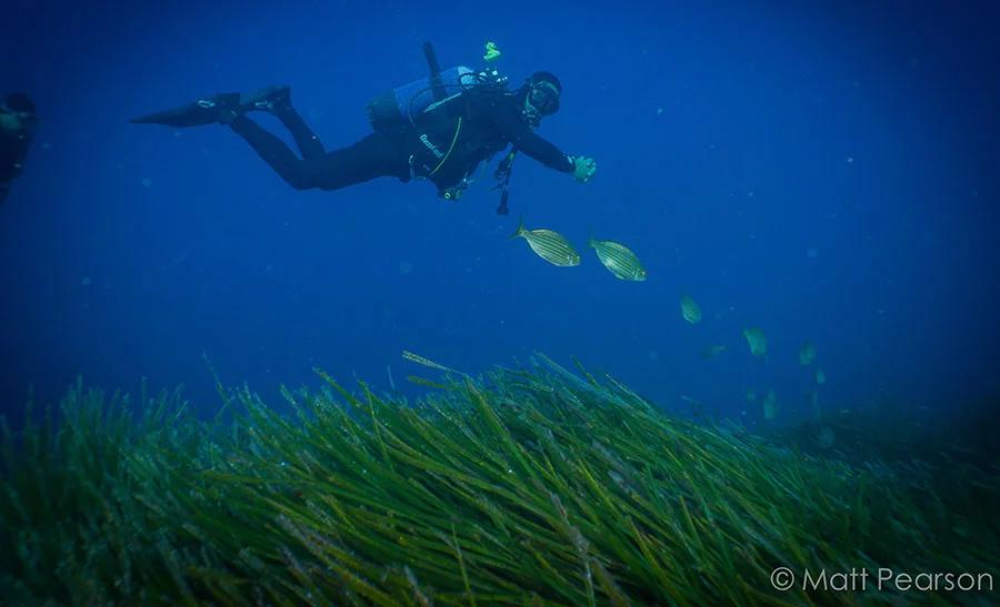 fun-dive-albatros-diving