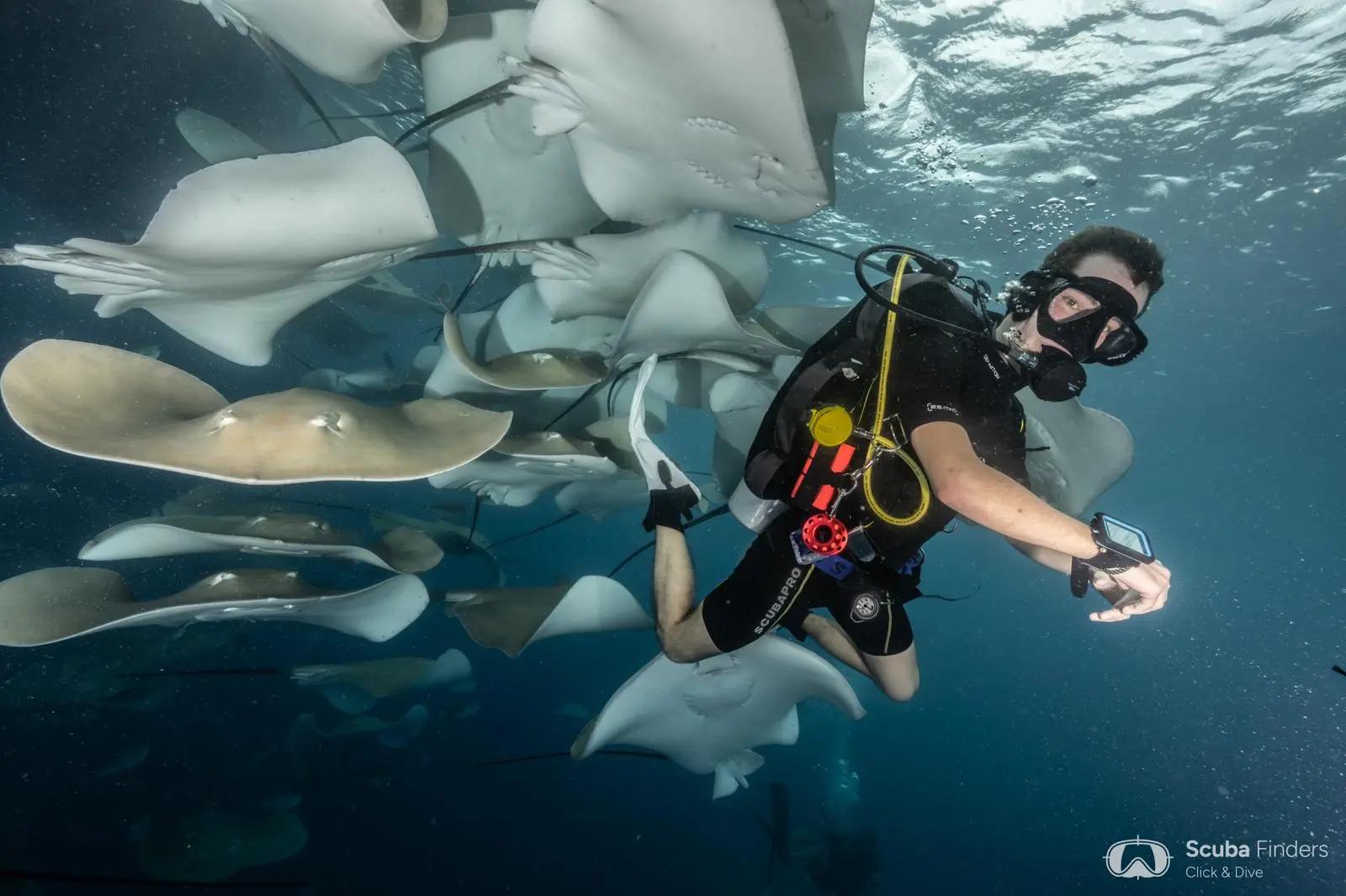 open-water-diver-course-plus-puerto-rico-gran-canaria