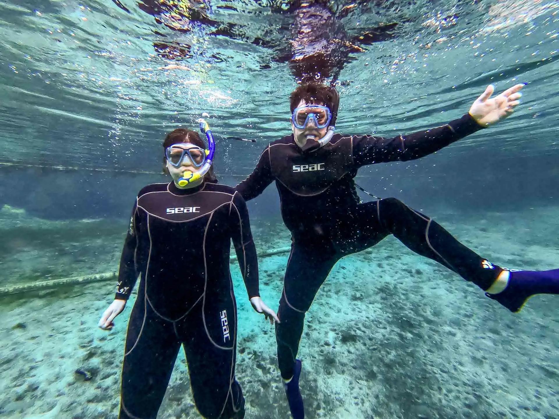 double-snorkeling-trip-haliotis-faial-azores-portugal