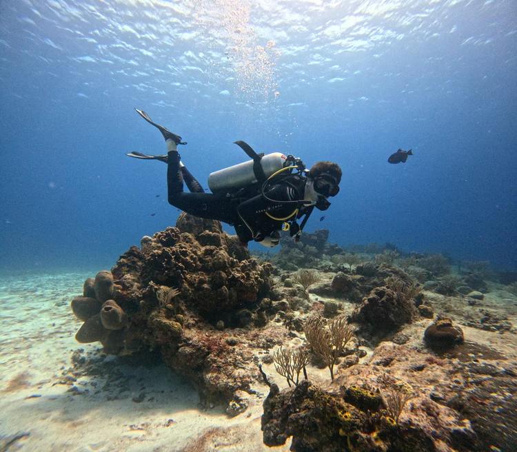 double-dive-from-boat-medusas-dive
