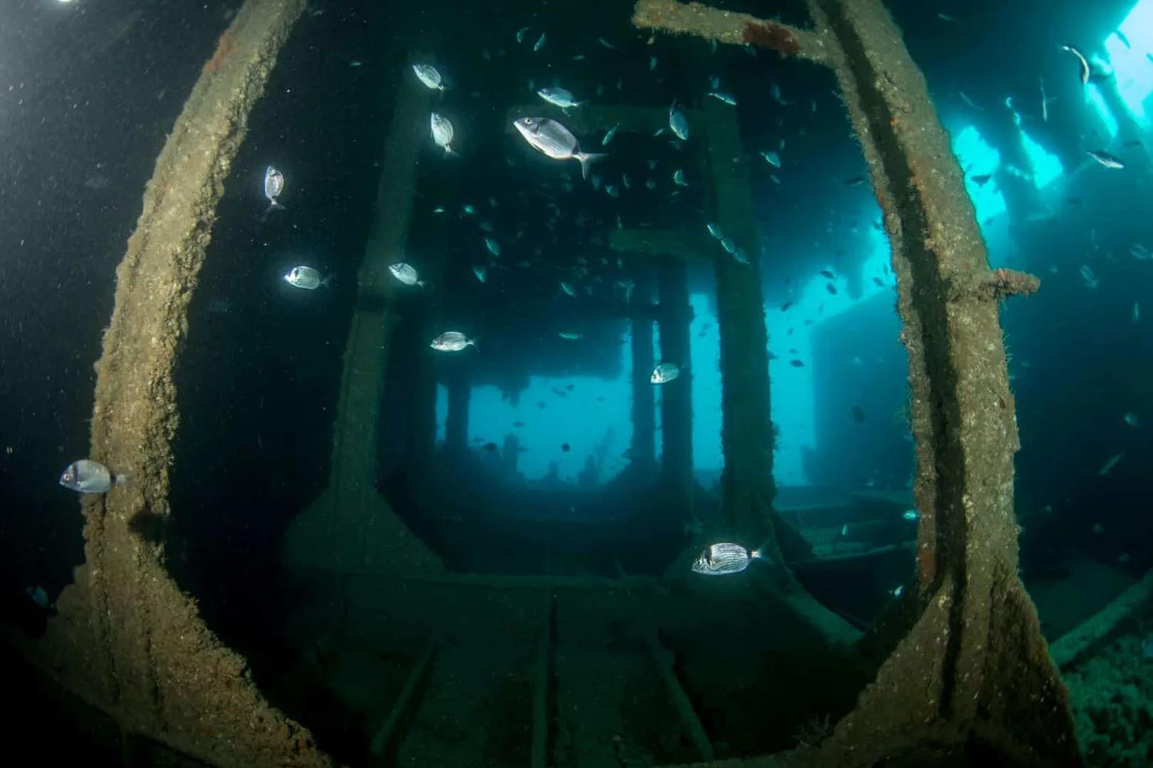 wreck-diver-specialty-course-gozo-dive-malta