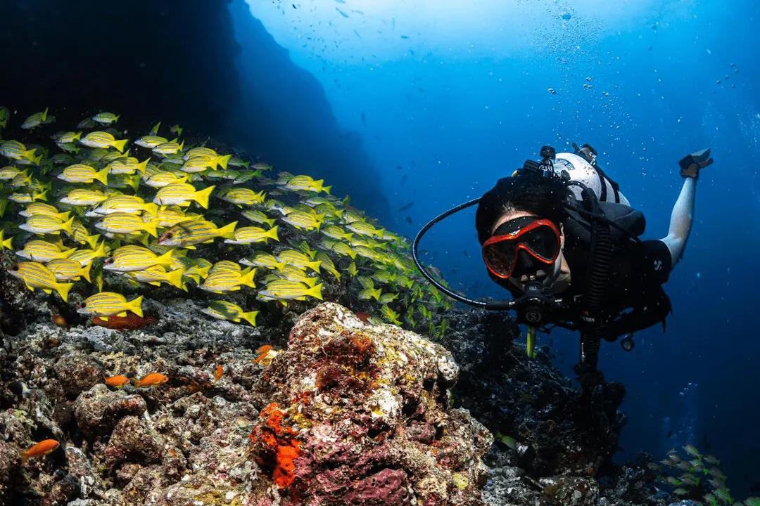 open-water-diver-dharavandhoo-scuba-finders