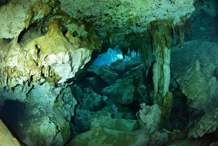diving-in-cenote-dos-ojos-with-diversity-diving-and-scuba-finders
