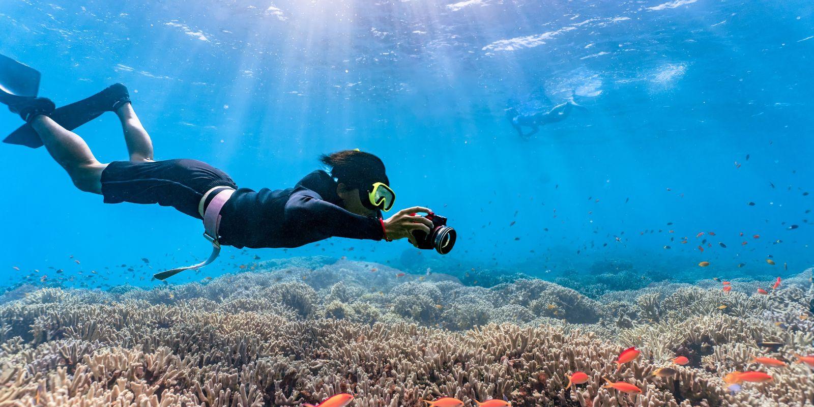 snorkeling-octopus-scuba