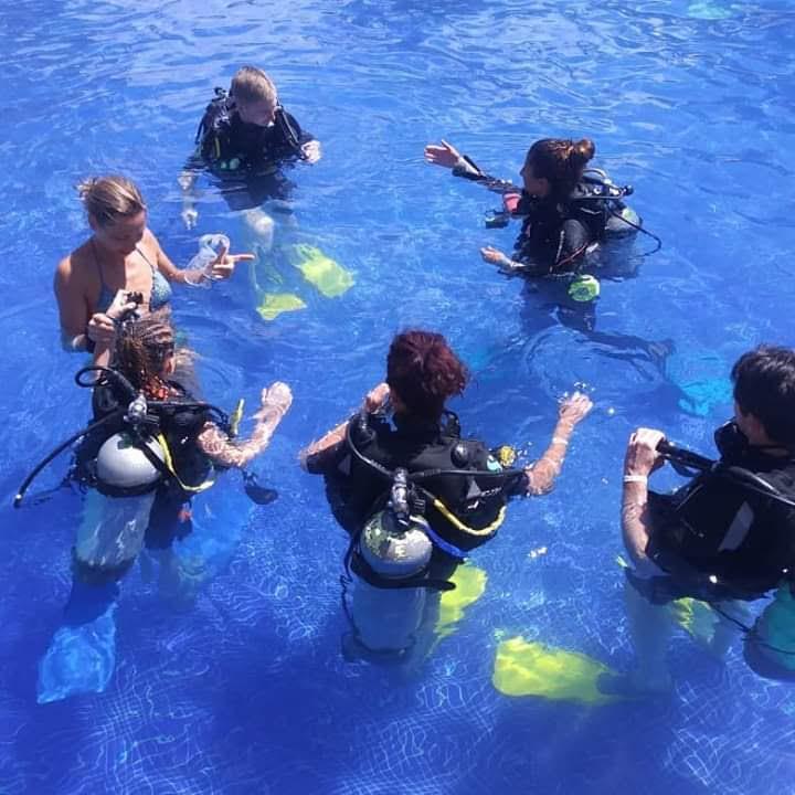 Activity