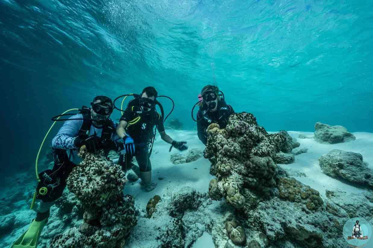 Open-Water-Diver-course-México-playa-del-carmen