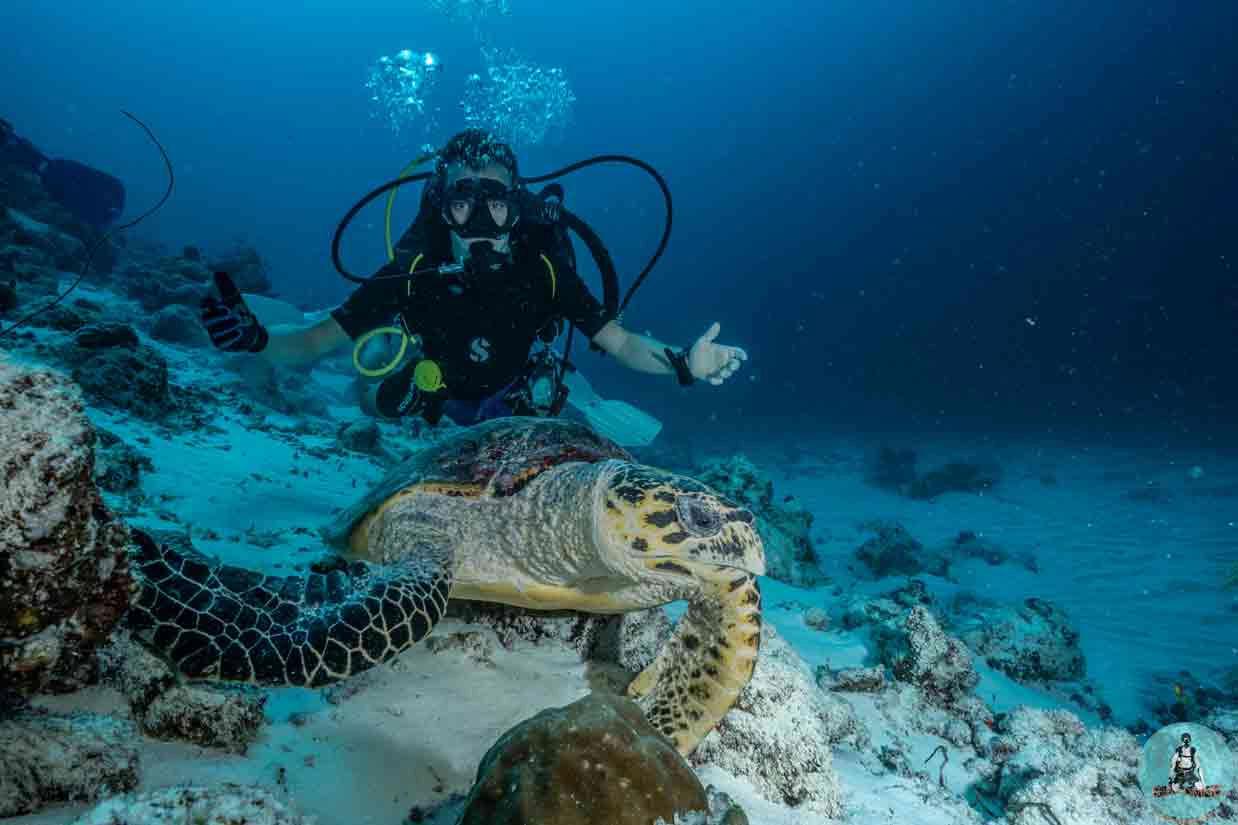 advanced-adventurer-course-fuerteocean-fuerteventura
