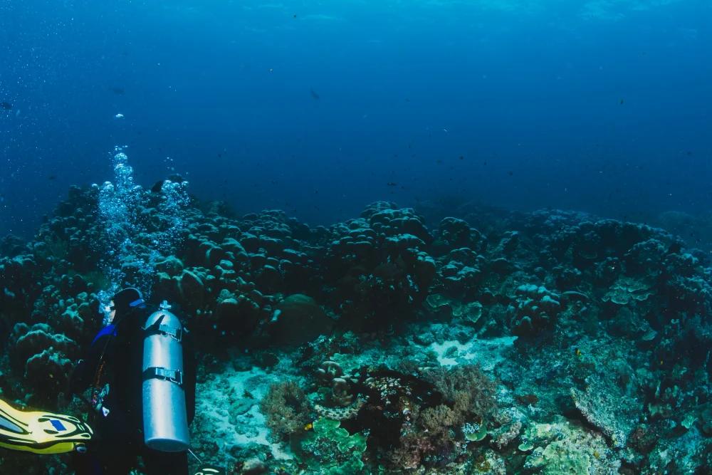 double-fun-equipment-dive-buceo-aguadulce-almeria