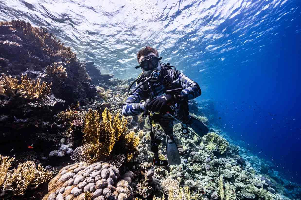 diving-marsh-alam-blue-ocean