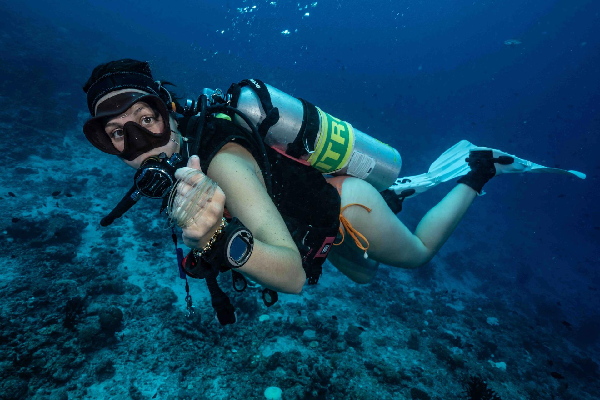 double-fun-dive-with-rental-gear-tortuga-diving-santa-marta-colombia