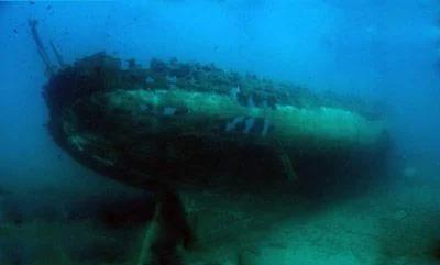 pack-5-dives-calamar-gigante-almeria