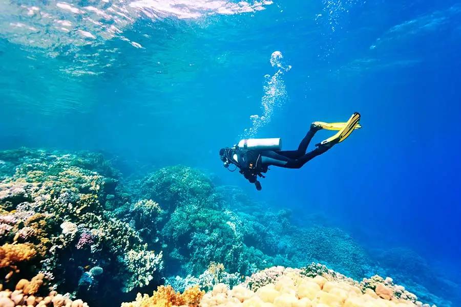 open-water-diver-course-dsdivers-gran-canaria