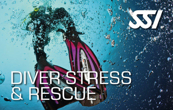 stress-and-rescue-diver-course-fuerteventura-diving