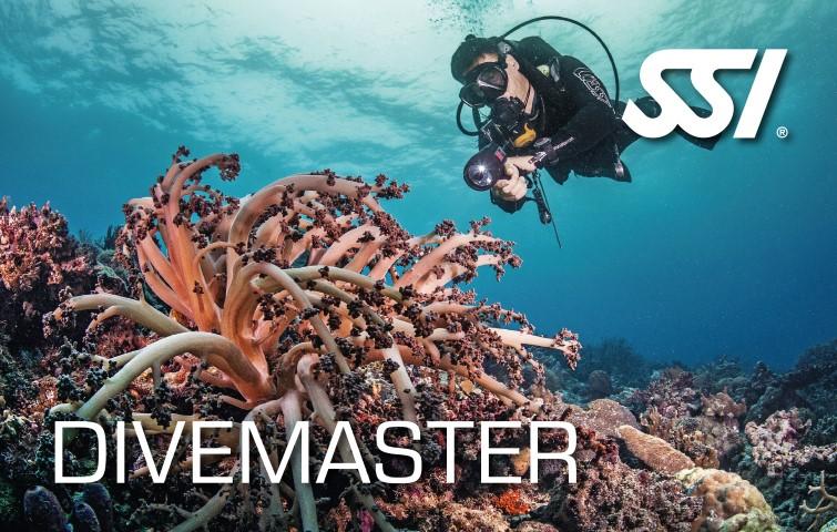 dive-master-pack-fuerteventura-diving