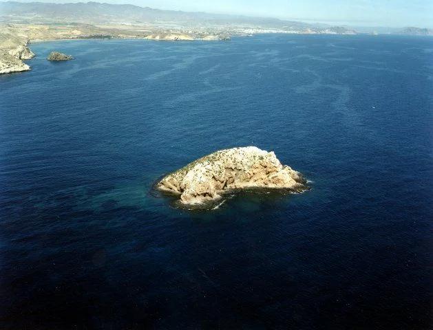 double-fun-dive-calamar-gigante-almeria