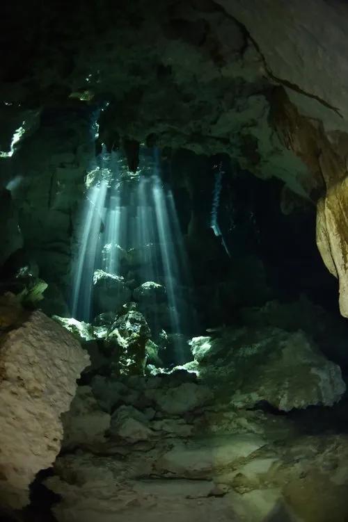 diving-in-cenote-with-diversity-diving-and-scuba-finders